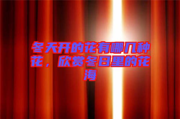 冬天開的花有哪幾種花，欣賞冬日里的花海