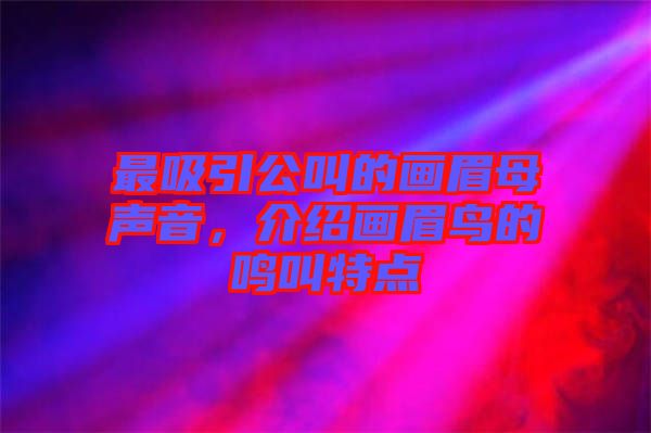 最吸引公叫的畫眉母聲音，介紹畫眉鳥的鳴叫特點