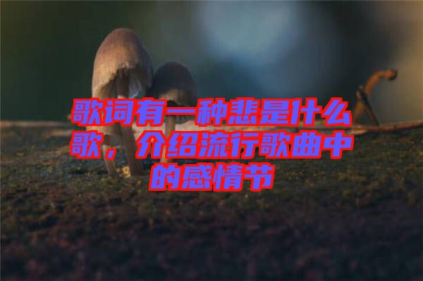 歌詞有一種悲是什么歌，介紹流行歌曲中的感情節(jié)