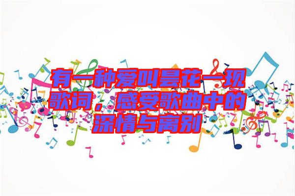 有一種愛(ài)叫曇花一現(xiàn)歌詞，感受歌曲中的深情與離別