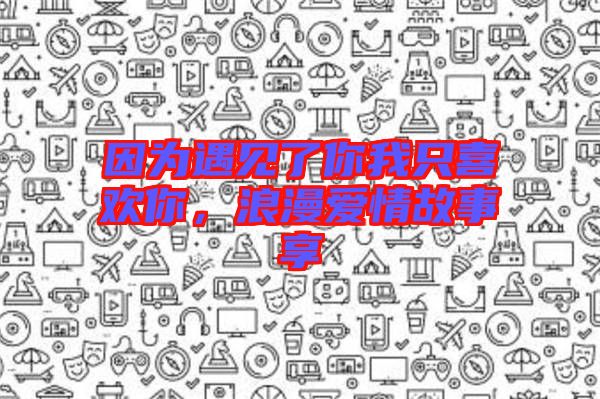 因?yàn)橛鲆?jiàn)了你我只喜歡你，浪漫愛(ài)情故事享