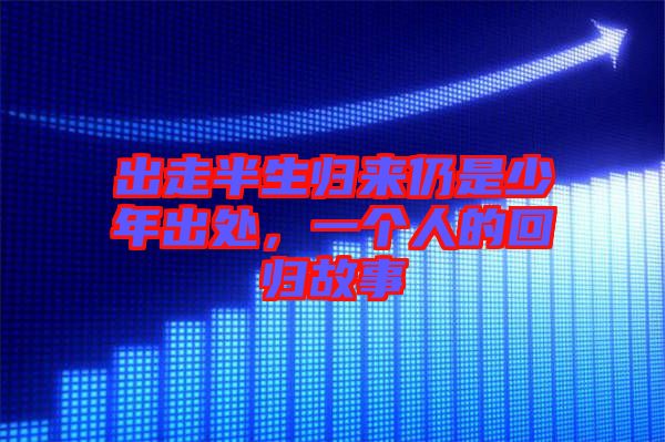 出走半生歸來仍是少年出處，一個(gè)人的回歸故事