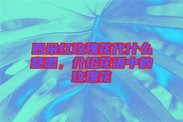 四朵紅玫瑰花代什么意思，介紹花語中的玫瑰花