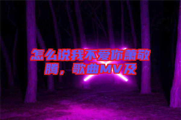 怎么說(shuō)我不愛(ài)你蕭敬騰，歌曲MV及