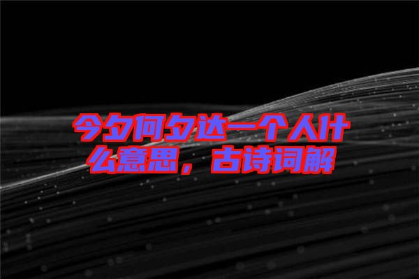 今夕何夕達(dá)一個(gè)人什么意思，古詩(shī)詞解