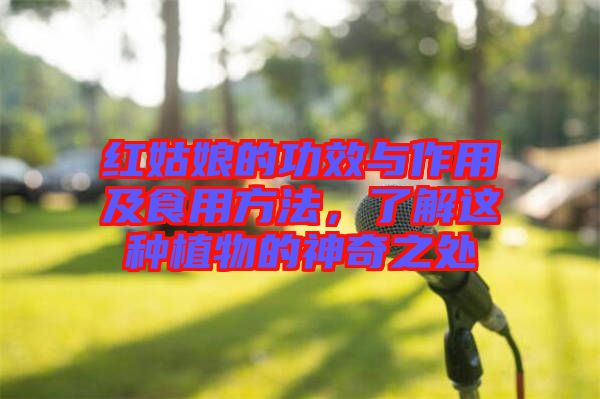 紅姑娘的功效與作用及食用方法，了解這種植物的神奇之處