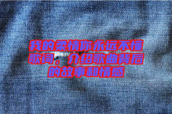 我的柔情你永遠(yuǎn)不懂歌詞，介紹歌曲背后的故事和情感