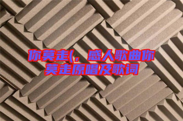 你莫走(，感人歌曲你莫走原唱及歌詞