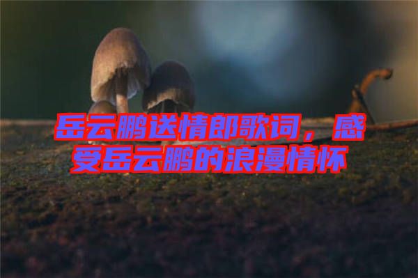 岳云鵬送情郎歌詞，感受岳云鵬的浪漫情懷