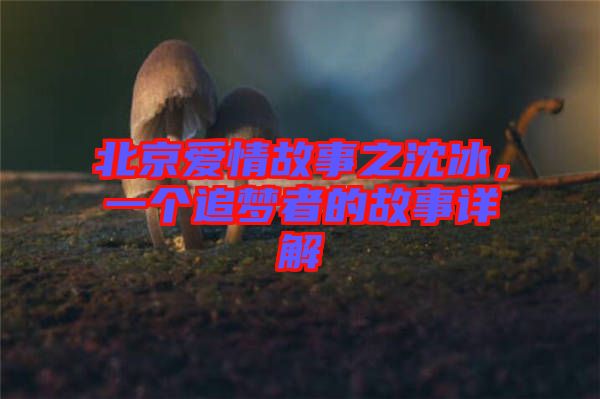 北京愛情故事之沈冰，一個追夢者的故事詳解