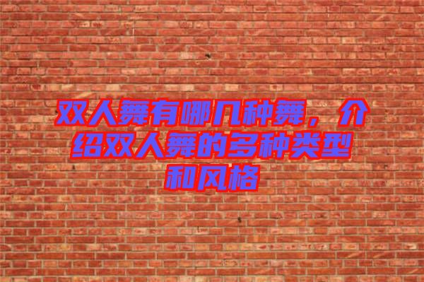 雙人舞有哪幾種舞，介紹雙人舞的多種類型和風(fēng)格