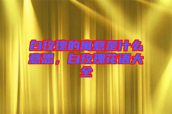 白玫瑰的寓意是什么意思，白玫瑰花語大全