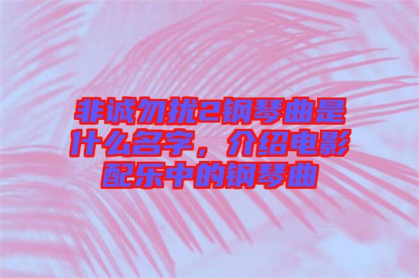 非誠(chéng)勿擾2鋼琴曲是什么名字，介紹電影配樂(lè)中的鋼琴曲
