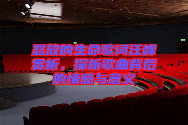 怒放的生命歌詞汪峰賞析，探析歌曲背后的情感與意義