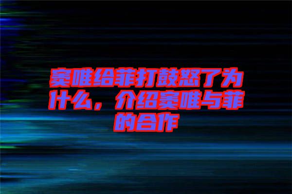 竇唯給菲打鼓怒了為什么，介紹竇唯與菲的合作