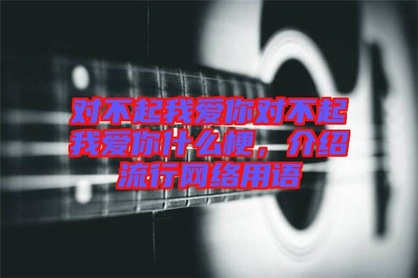 對不起我愛你對不起我愛你什么梗，介紹流行網(wǎng)絡(luò)用語