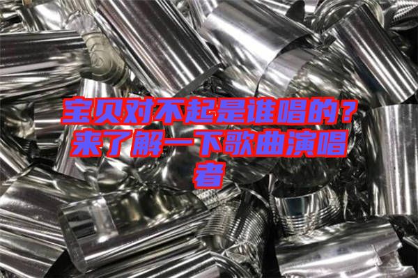 寶貝對不起是誰唱的？來了解一下歌曲演唱者