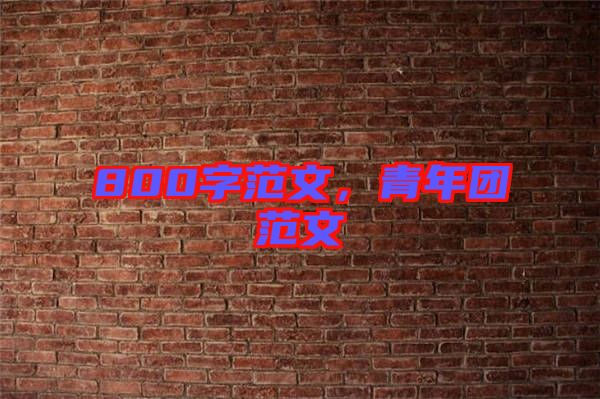800字范文，青年團(tuán)范文
