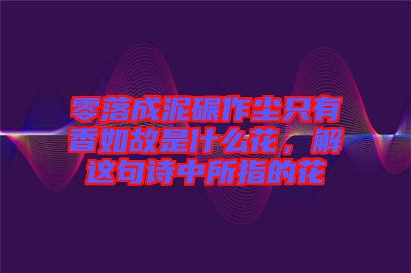 零落成泥碾作塵只有香如故是什么花，解這句詩中所指的花