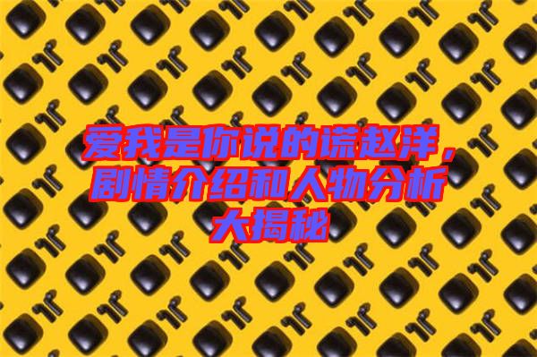 愛我是你說的謊趙洋，劇情介紹和人物分析大揭秘