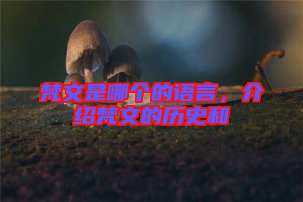 梵文是哪個的語言，介紹梵文的歷史和