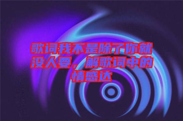歌詞我不是除了你就沒人要，解歌詞中的情感達