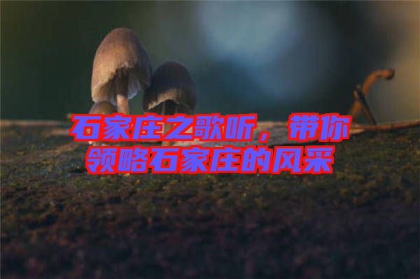 石家莊之歌聽，帶你領(lǐng)略石家莊的風(fēng)采