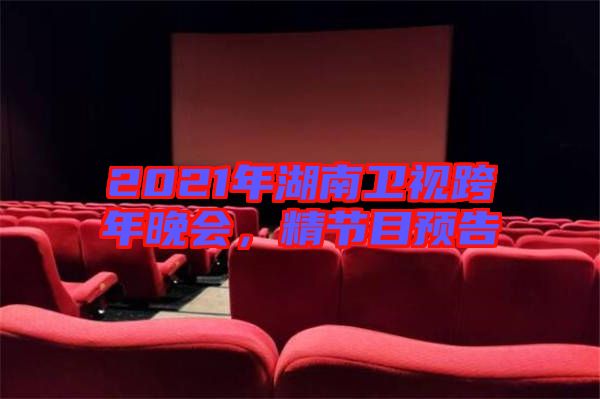 2021年湖南衛(wèi)視跨年晚會，精節(jié)目預(yù)告