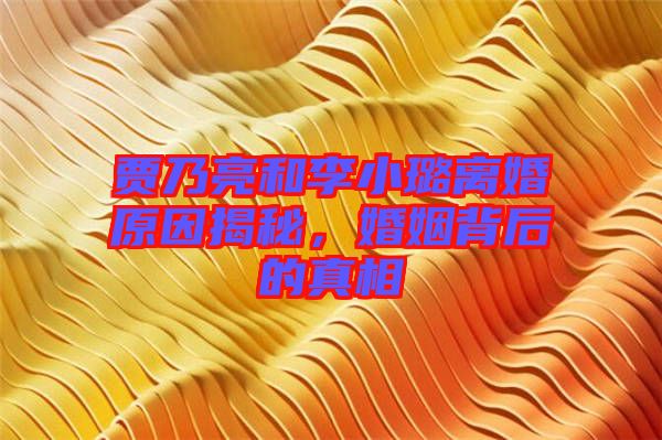 賈乃亮和李小璐離婚原因揭秘，婚姻背后的真相
