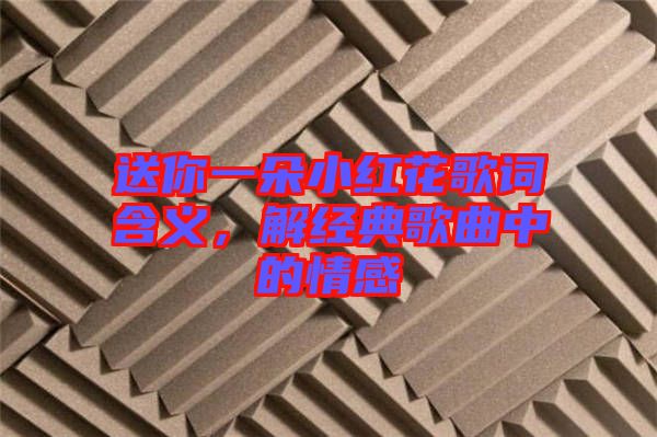 送你一朵小紅花歌詞含義，解經(jīng)典歌曲中的情感