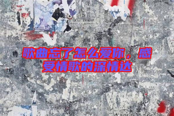 歌曲忘了怎么愛你，感受情歌的深情達
