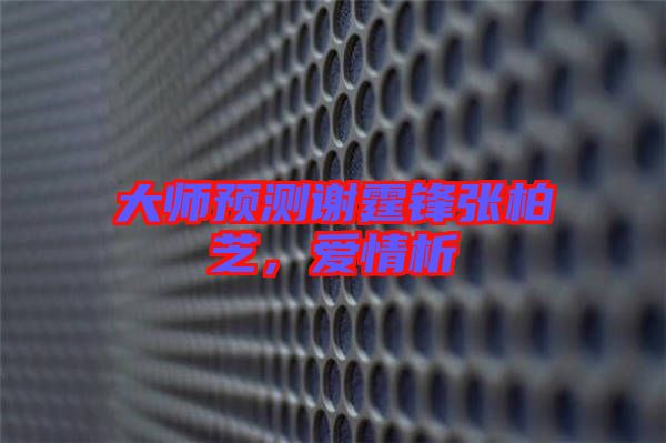 大師預測謝霆鋒張柏芝，愛情析