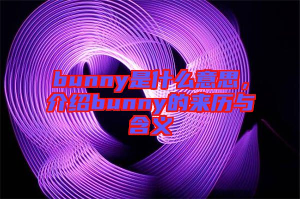 bunny是什么意思，介紹bunny的來歷與含義