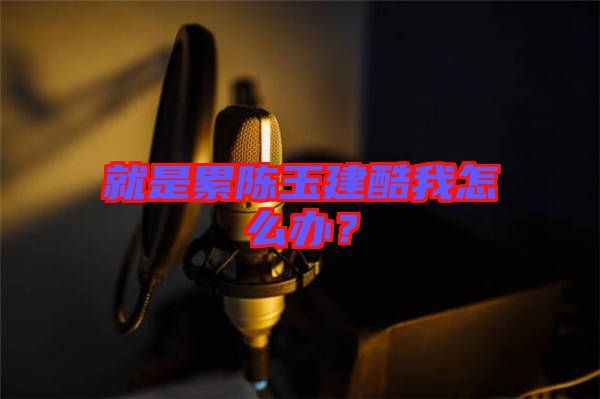 就是累陳玉建酷我怎么辦？