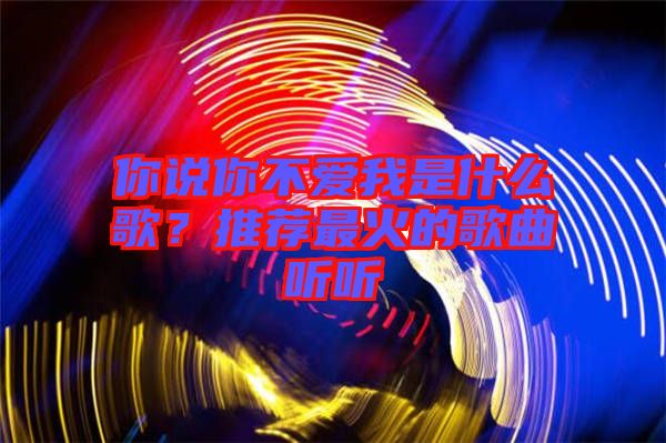 你說你不愛我是什么歌？推薦最火的歌曲聽聽