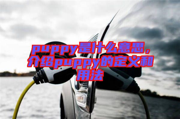 puppy是什么意思，介紹puppy的定義和用法