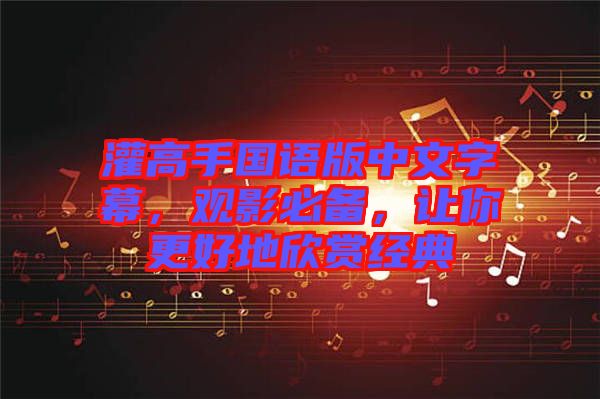 灌高手國語版中文字幕，觀影必備，讓你更好地欣賞經(jīng)典