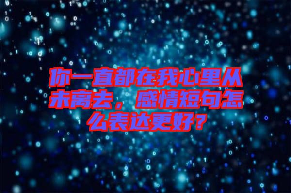 你一直都在我心里從未離去，感情短句怎么表達(dá)更好？