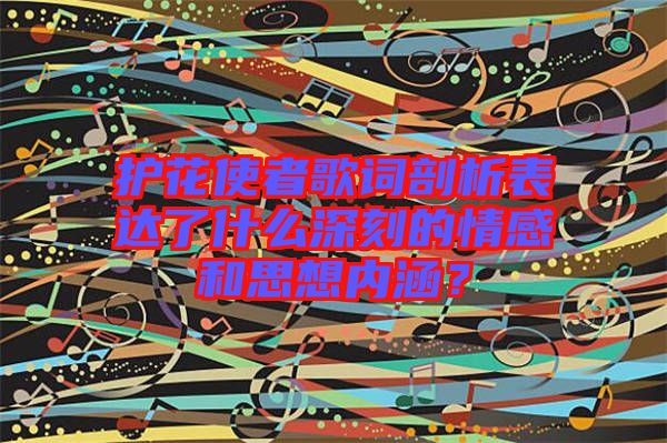 護(hù)花使者歌詞剖析表達(dá)了什么深刻的情感和思想內(nèi)涵？
