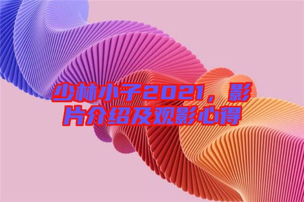 少林小子2021，影片介紹及觀影心得