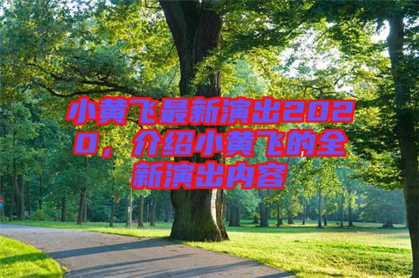 小黃飛最新演出2020，介紹小黃飛的全新演出內(nèi)容