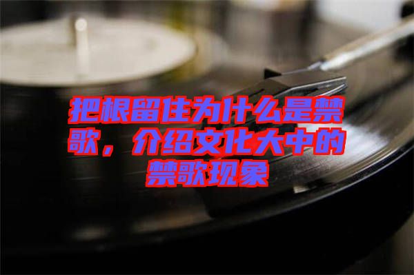 把根留住為什么是禁歌，介紹文化大中的禁歌現象