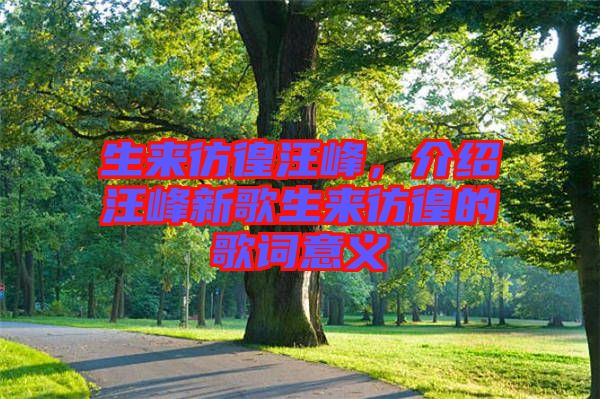 生來彷徨汪峰，介紹汪峰新歌生來彷徨的歌詞意義