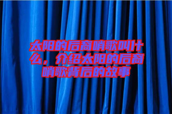 太陽的后裔哨歌叫什么，介紹太陽的后裔哨歌背后的故事
