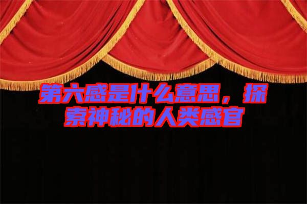 第六感是什么意思，探索神秘的人類感官