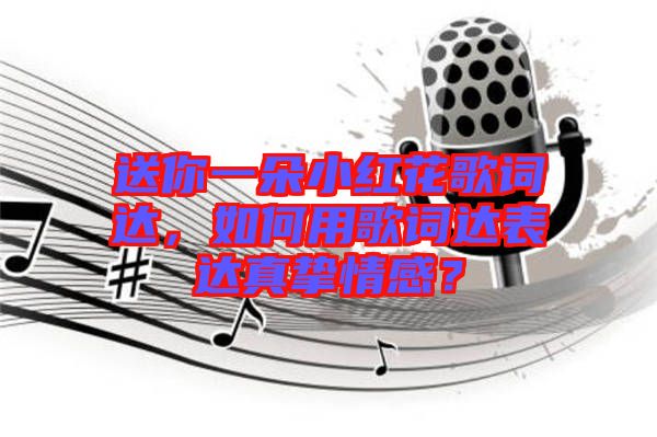 送你一朵小紅花歌詞達(dá)，如何用歌詞達(dá)表達(dá)真摯情感？