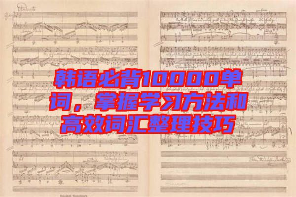韓語必背10000單詞，掌握學(xué)習(xí)方法和高效詞匯整理技巧