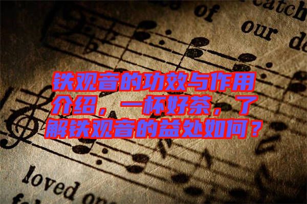 鐵觀音的功效與作用介紹，一杯好茶，了解鐵觀音的益處如何？