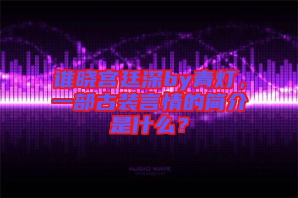 誰曉宮廷深by青燈，一部古裝言情的簡介是什么？