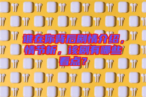 誰(shuí)在你背后劇情介紹，情節(jié)析，該劇有哪些看點(diǎn)？